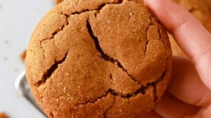 Spiced Molasses Cookies