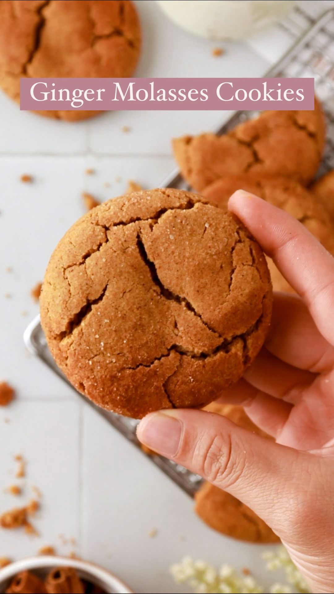 Spiced Molasses Cookies