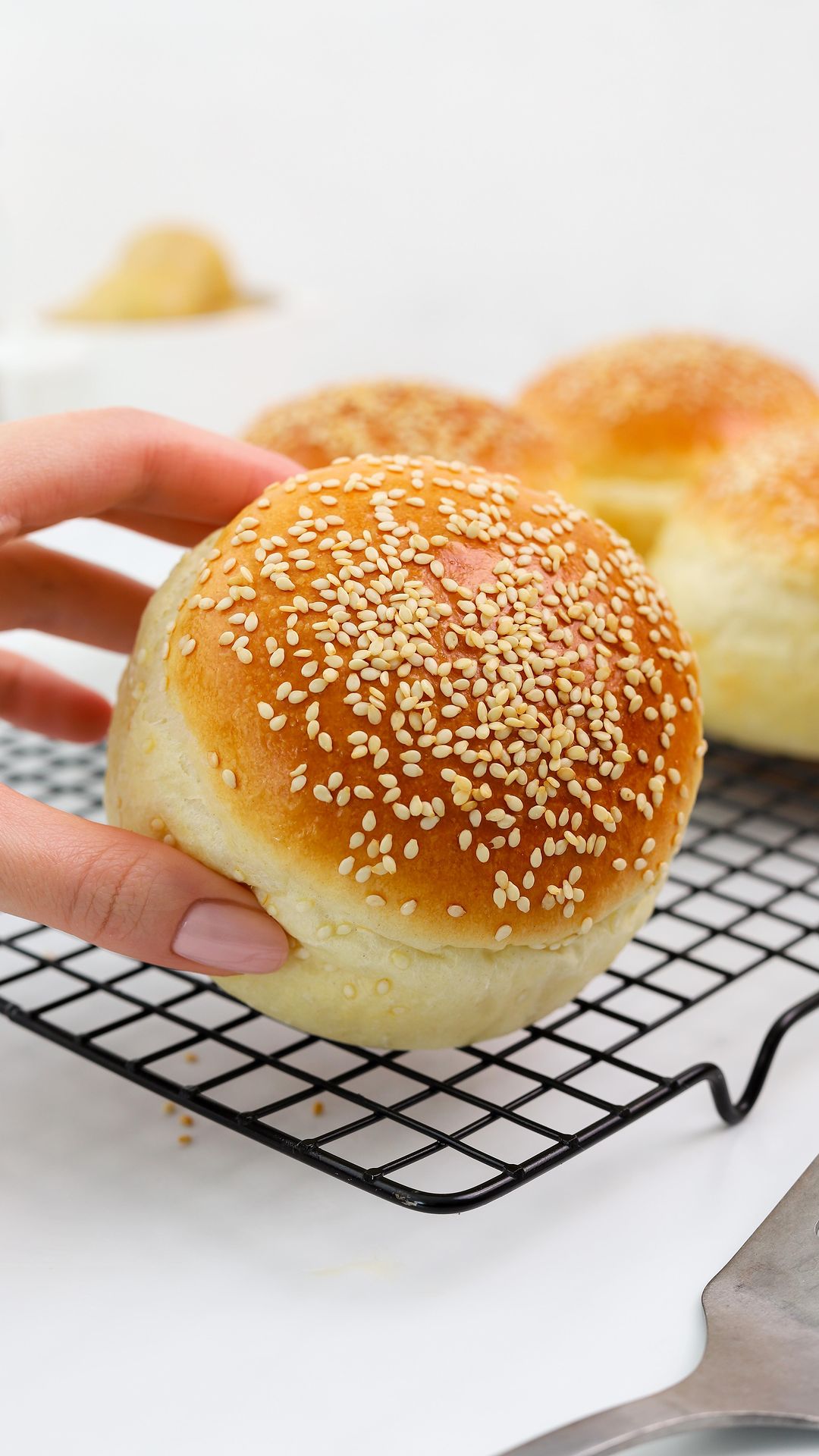 Potato Burger Buns