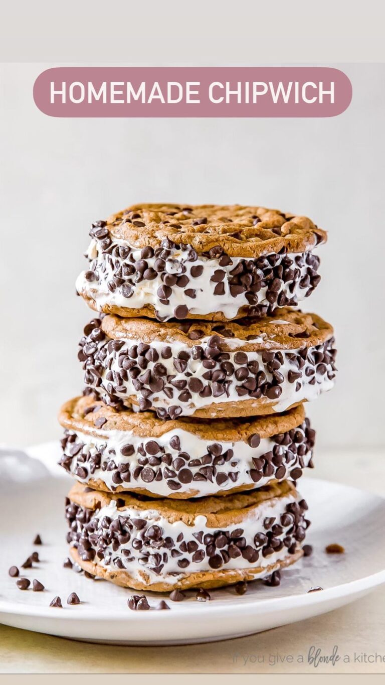 Homemade Chocolate Chip Ice Cream Sandwiches