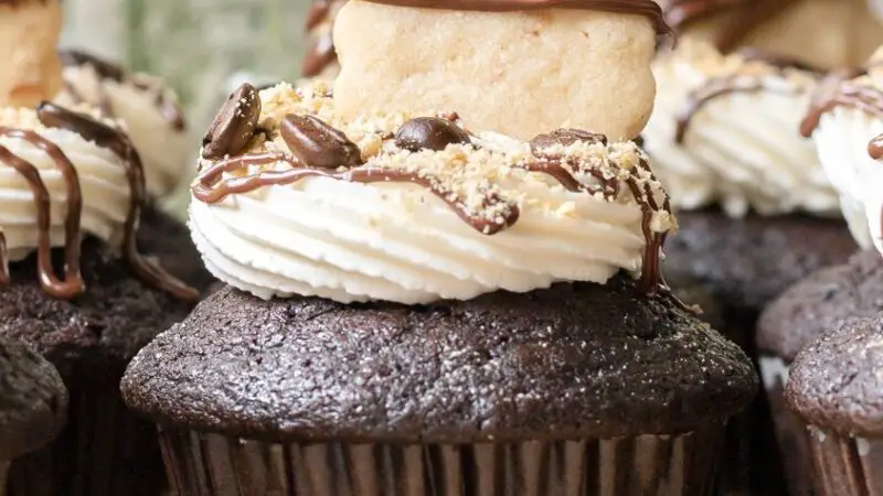 Espresso Chocolate Cupcakes with Graham Cracker Crust