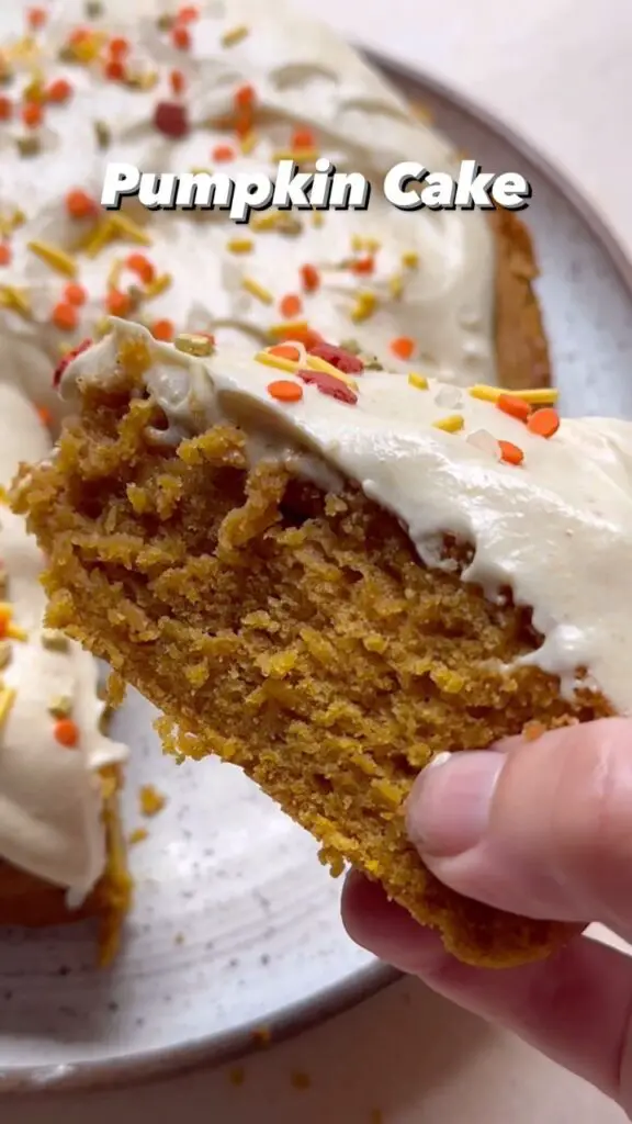 Pumpkin Cake – From 📌Pin To Plate🍰