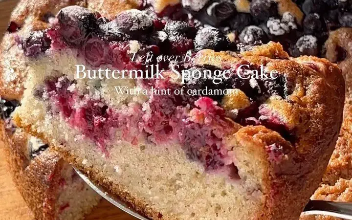 Buttermilk sponge cake