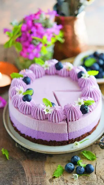 Blueberry Chocolate Cake – From 📌Pin To Plate🍰