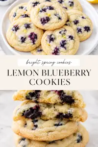 Lemon Blueberry Cookies